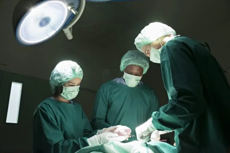 Realizan el primer trasplante de pulmón de cerdo a una persona en muerte cerebral